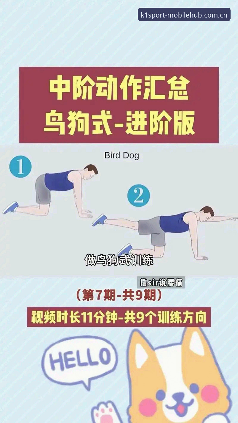 5个k1体育推荐教程核心技巧，助你从新手变老鸟